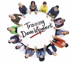 Training and development strategies